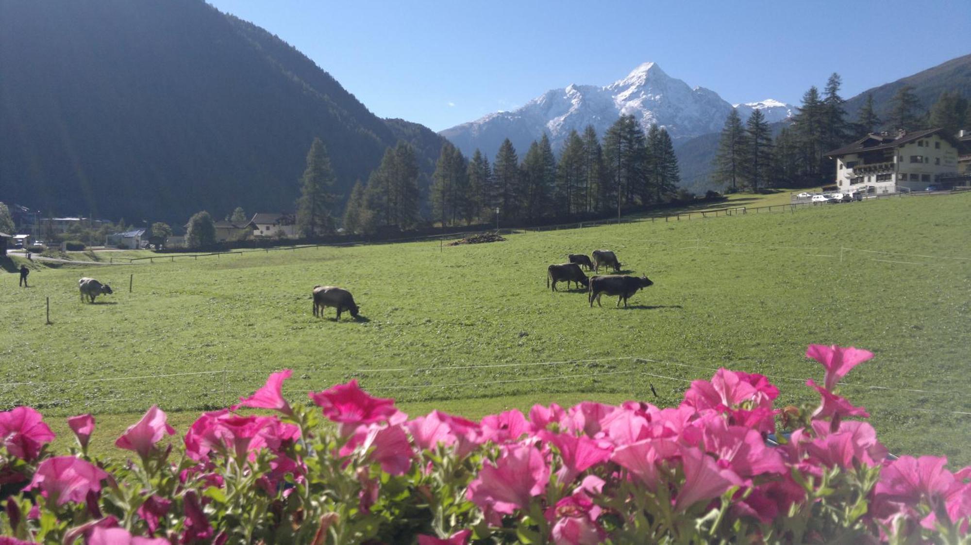 Haus Hugo Otel Sölden Dış mekan fotoğraf